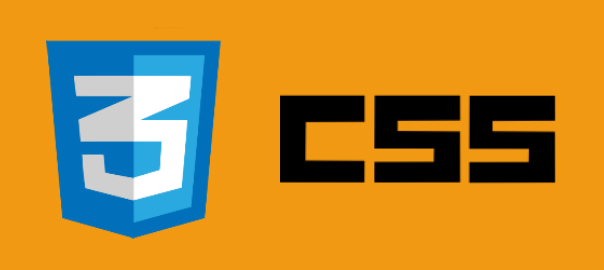 CSS Proje